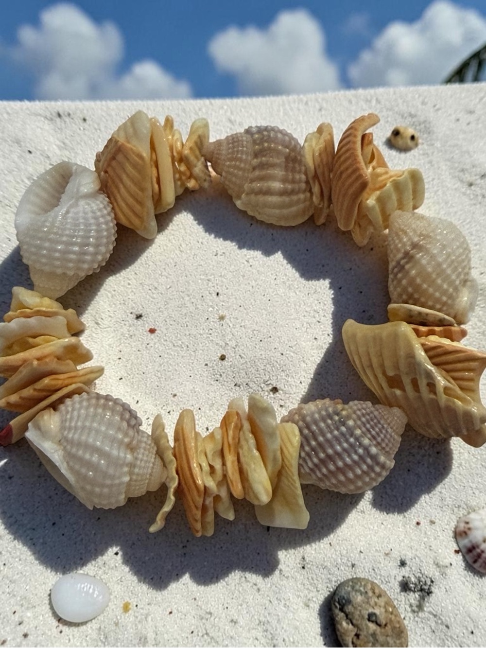 Seashell Stretch Bracelet in Natural Cream & Tan